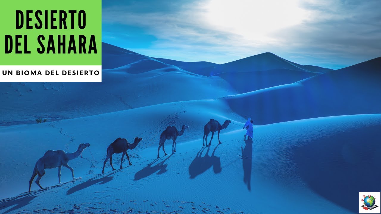 Desierto del Sahara &ndash; Vista Previa