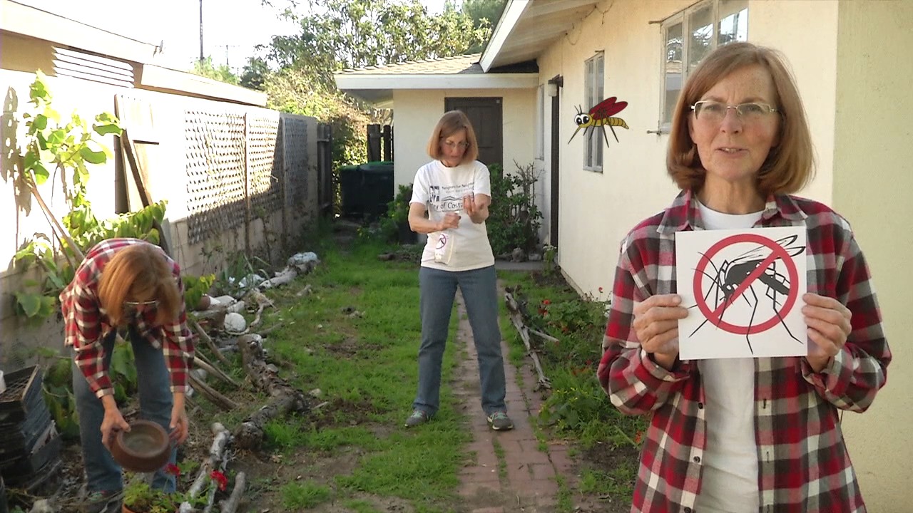 Mosquito Control Home Easy Steps