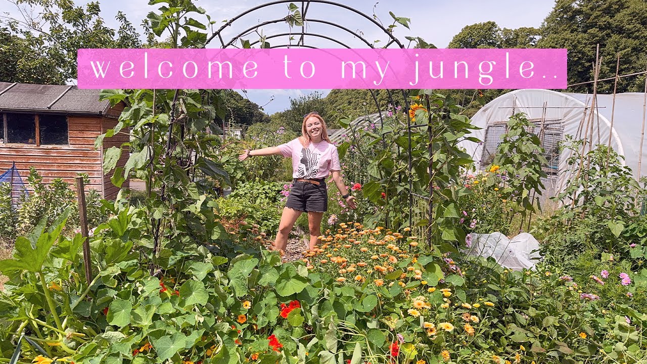 the plot after 10 days away 😅 Allotment Vlog 🌸 Ep.65 🌸