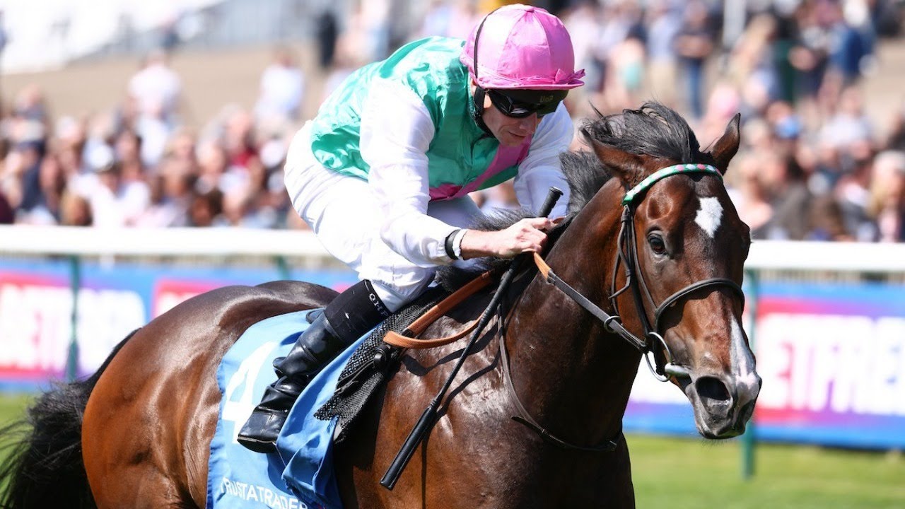 Curragh next for COSMIC YEAR following Newmarket win