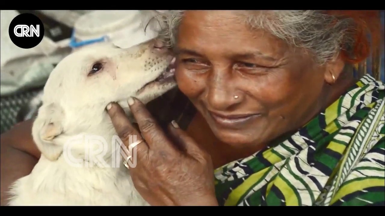 PRATIMA DEVI | Mother of 300 dogs | Chhota Reporter
