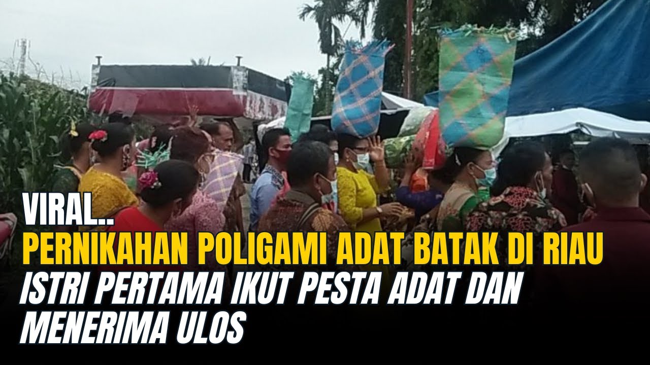 Viral, Pernikahan Poligami Adat Batak Di Riau, Istri Pertama Ikut Pesta Adat dan Menerima Ulos..