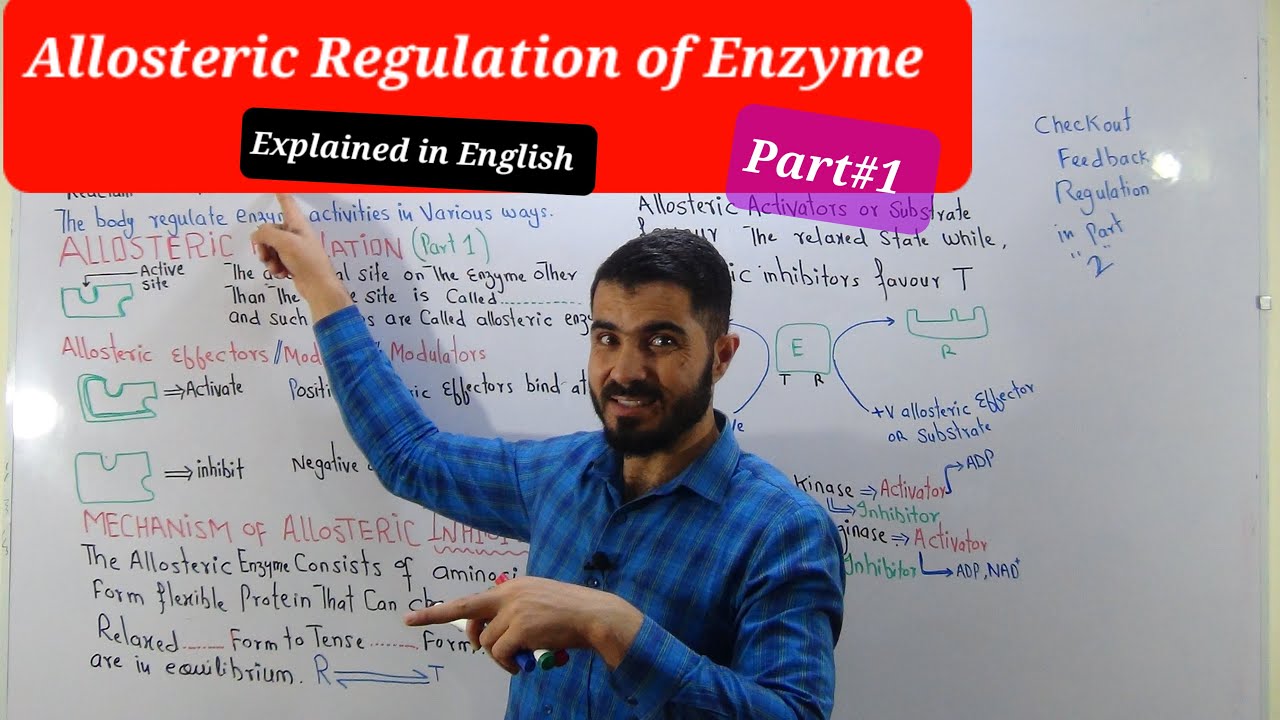 Allosteric Regulation and Mechanism // Enzyme Regulation Biochemistry Enzymology