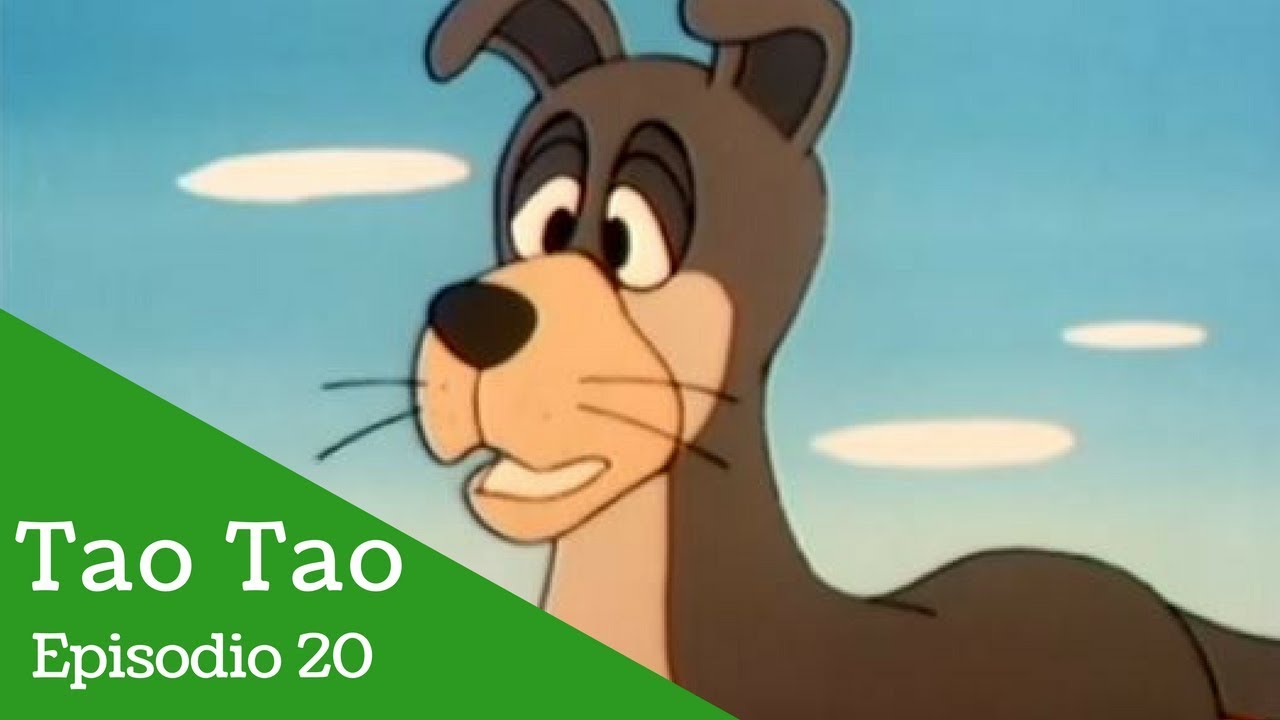 Tao Tao: Episodio  20- El perro pequeño y el hueso grande