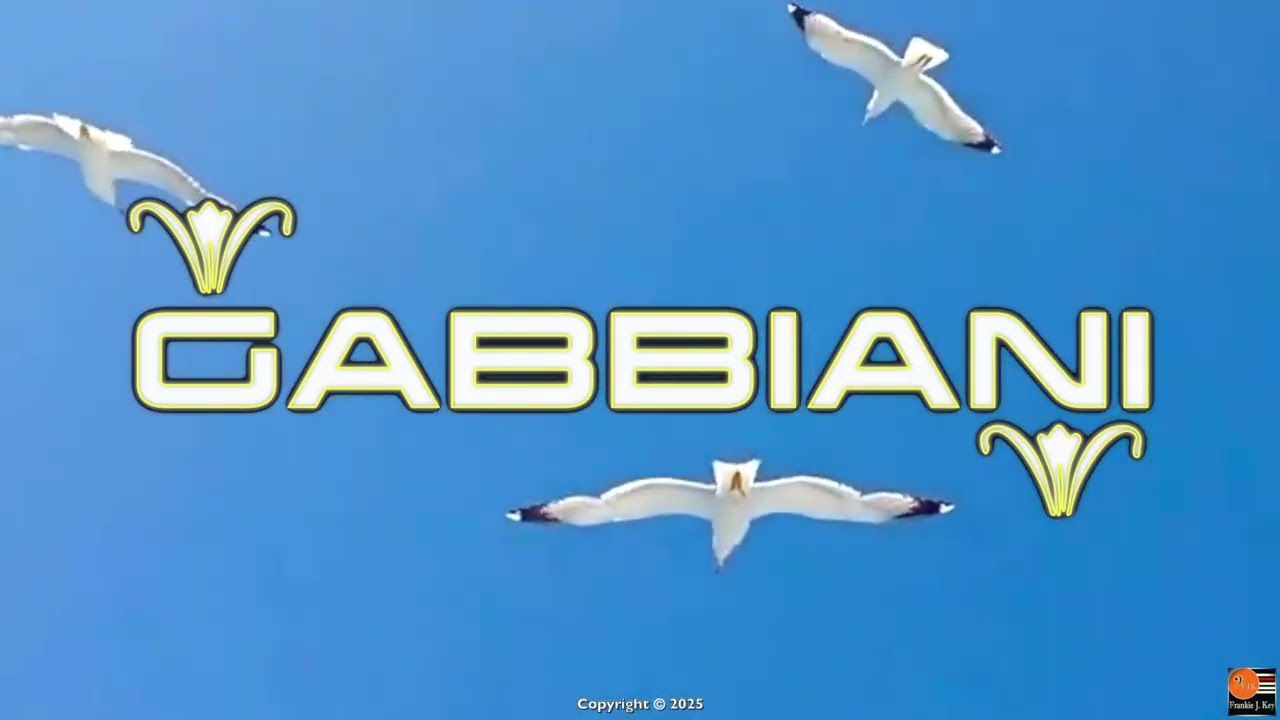 Francesco Brandolini - GABBIANI ©