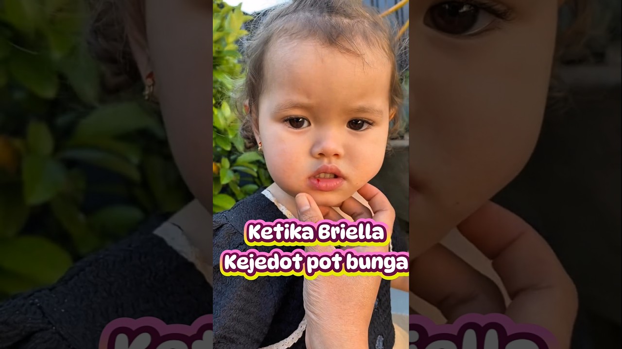Briella Hebat! Kejedot pot pun tidak menangis. #briella #bayikuat #shortsviral #fypシ゚viral #pyfツ