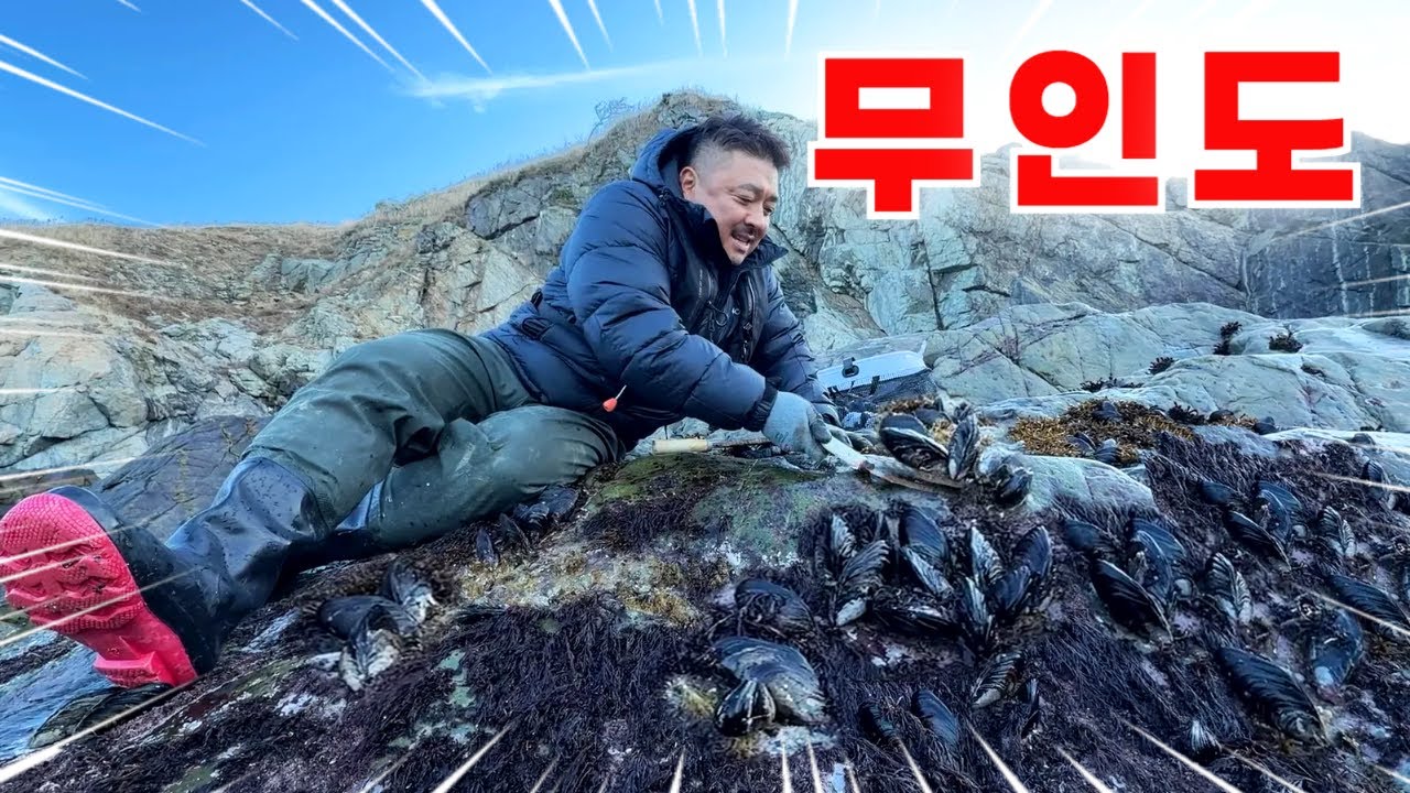 이 섬 물 빠지니 작살 나는구나!! 온 섬에는 온통 술안주!!