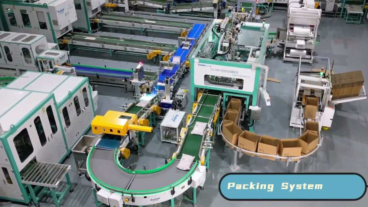 Efficient Full Automation Rice Packaging System: From Vacuum Sealing to Palletizing#ewinall