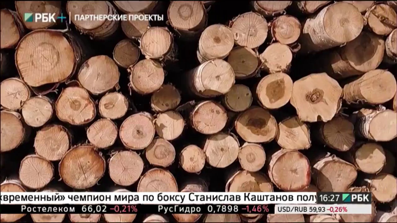 Производство фанеры. Сделано в России РБК с Вячеславом Волковым