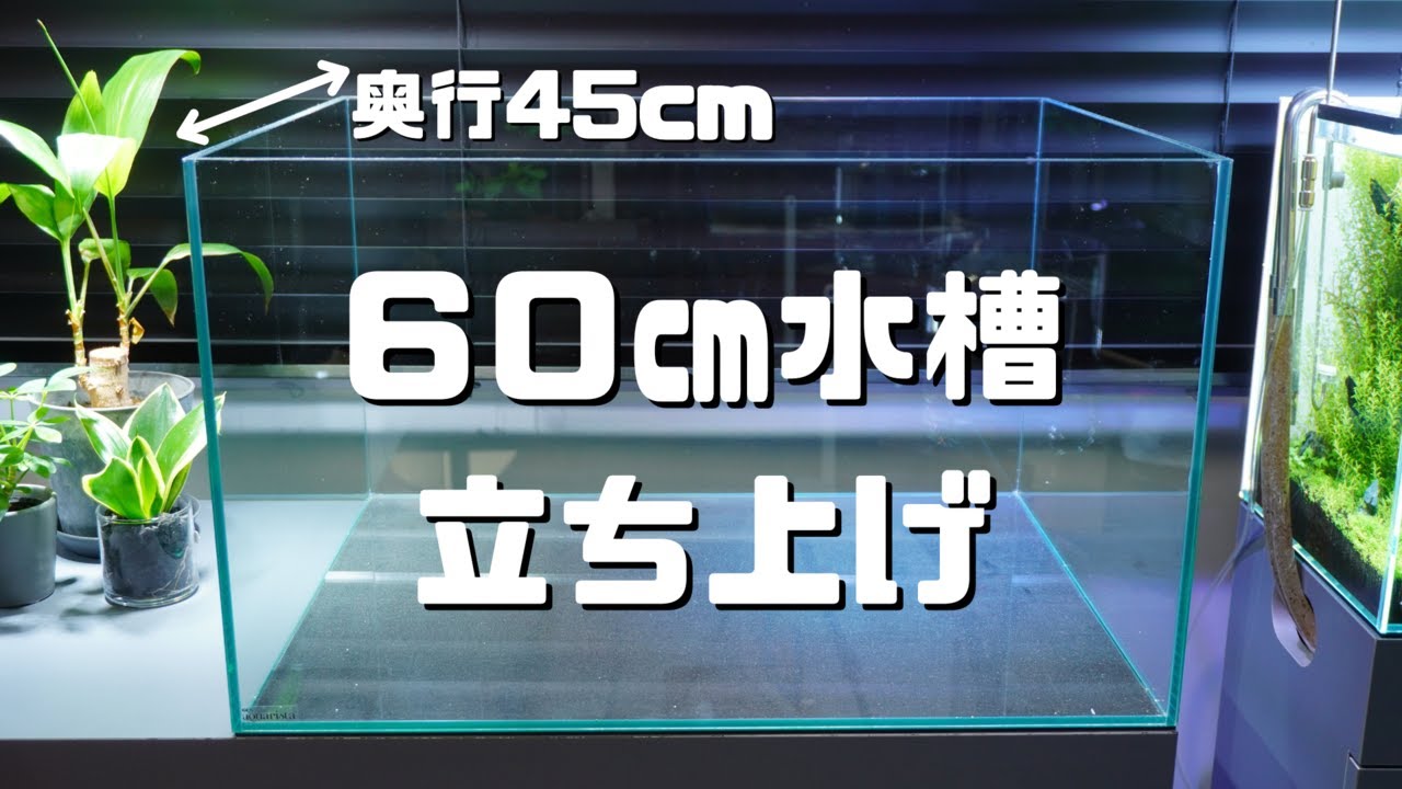 【GEX2025新商品】水槽立ち上げ3連発の第3弾！！！