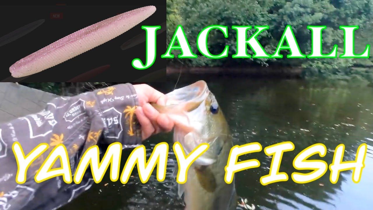 【YAMMY FISH】Good result No sinker offset rig 【Bass Fishing】【JACKALL】
