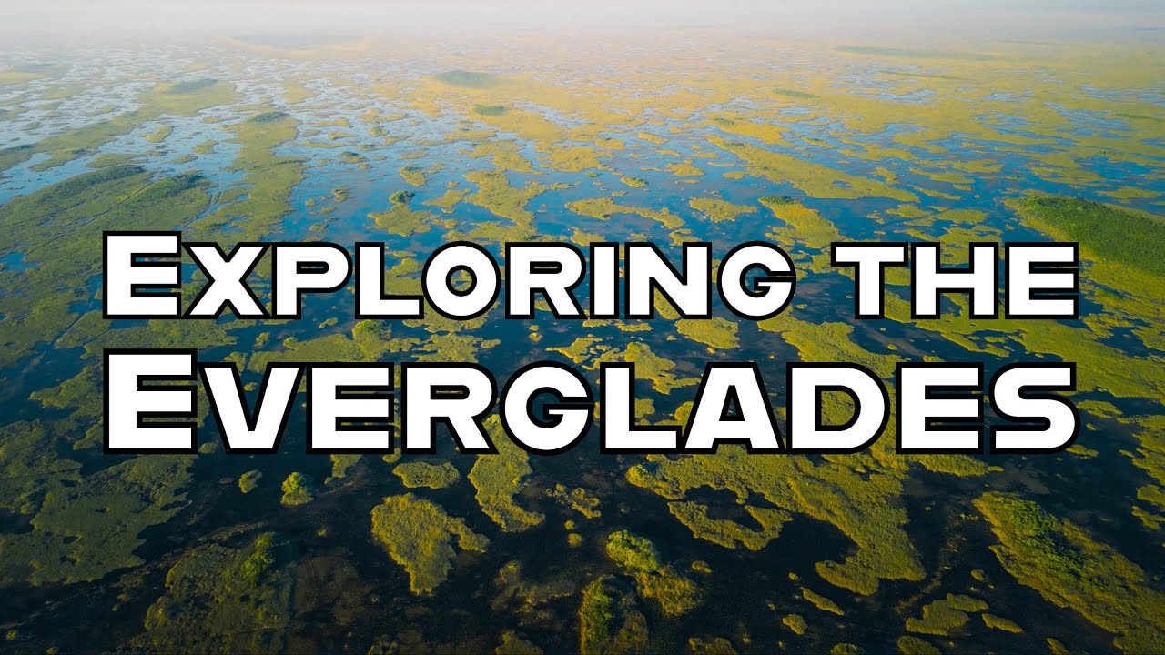 RV Life in Everglades National Park | Full Travel Guide (Crocs, Manatees, Airboat) #everglades