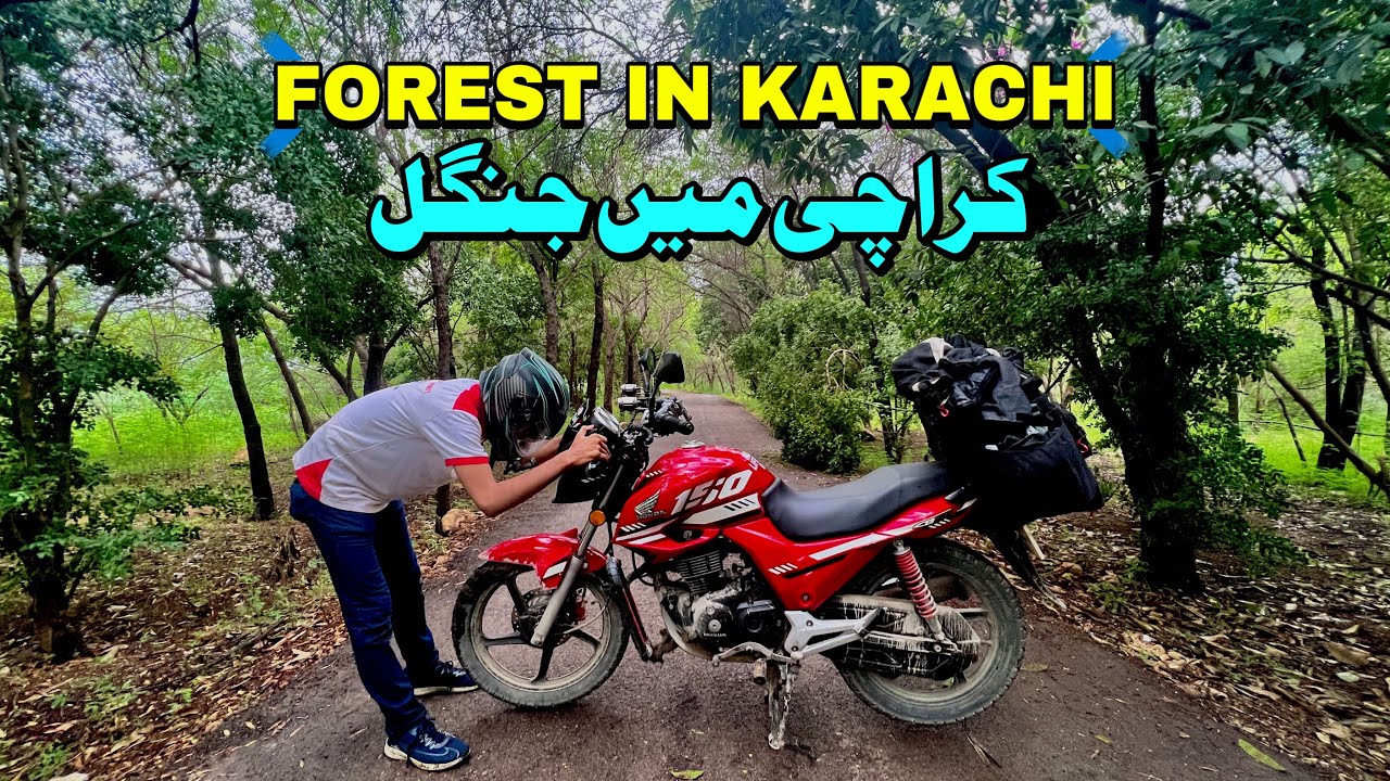 Green Forest in Karachi 😳| Thaddo Forest | Thaddo Dam | Cooking in Forest | Rain in Forest
