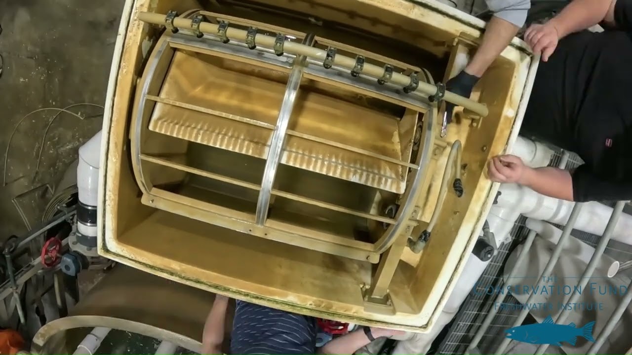 RAS Drum Filter Screen Replacement (Time Lapse)
