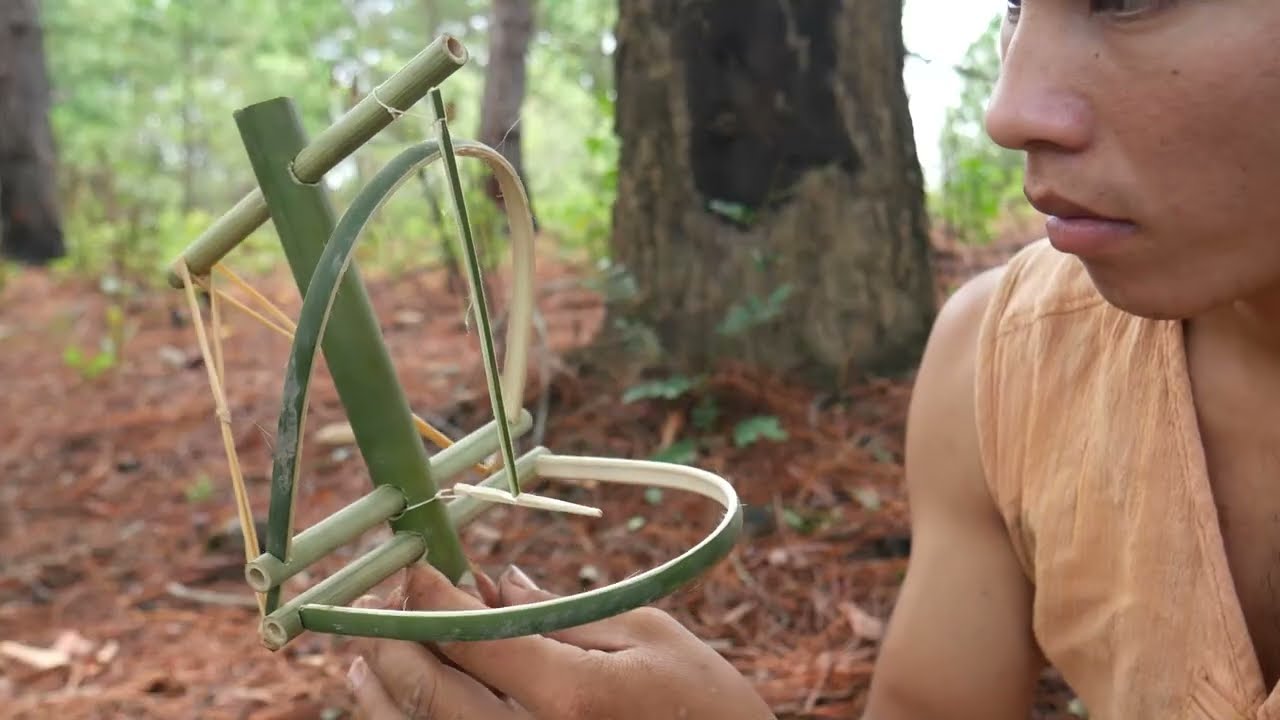 amazing skills to be looking for food in the jungle for survival episode 142 I got a quail bird