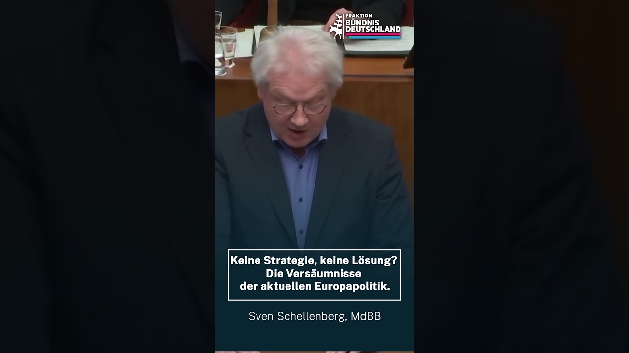 Keine Strategie, keine L&ouml;sung? Die Vers&auml;umnisse der aktuellen Europapolitik.