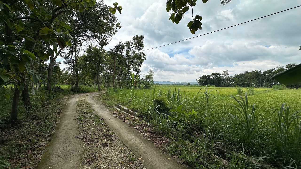 TERJUAL❌Tanah view sawah suasana asri dan alami