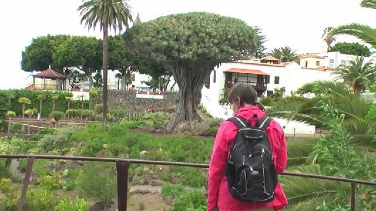 Icod de los Vinos, naturaleza milenaria.