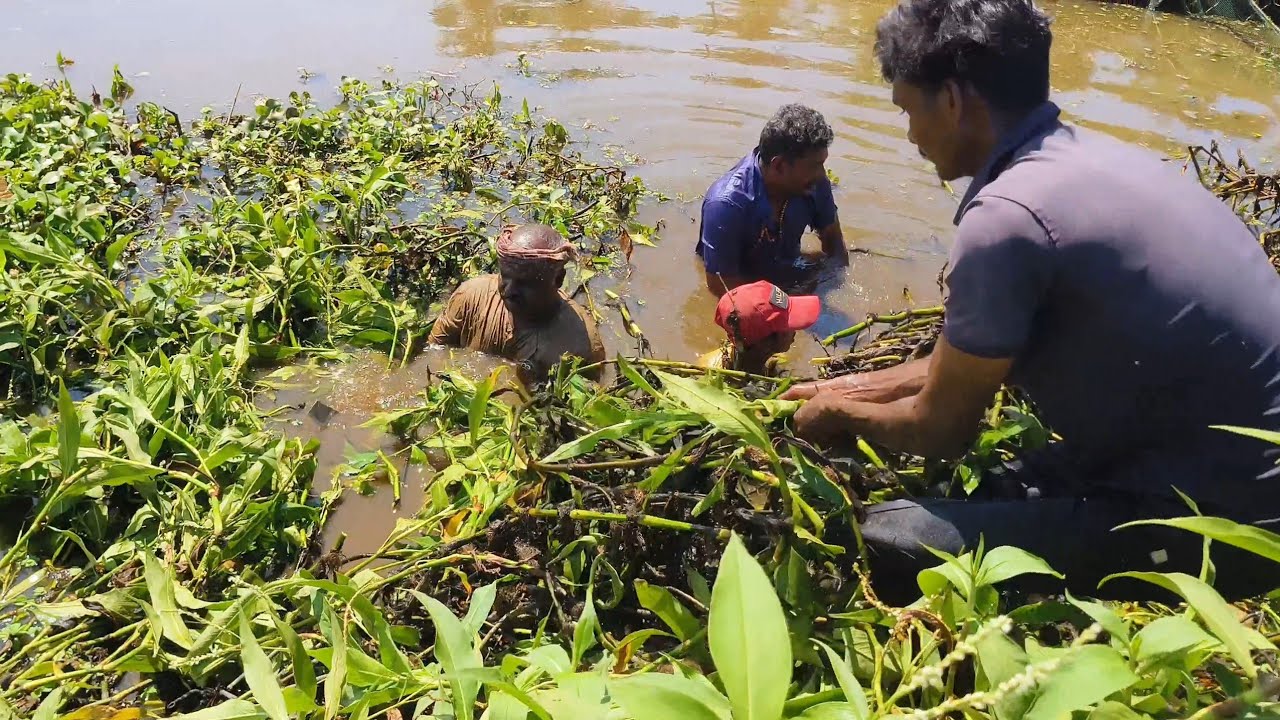 കാട് വെട്ടിപൊളിച്ചു ഒരു കിടിലൻ നാടൻ വേട്ട🐠|traditionalfishing|nadanfishing|villagefishing|keralalife