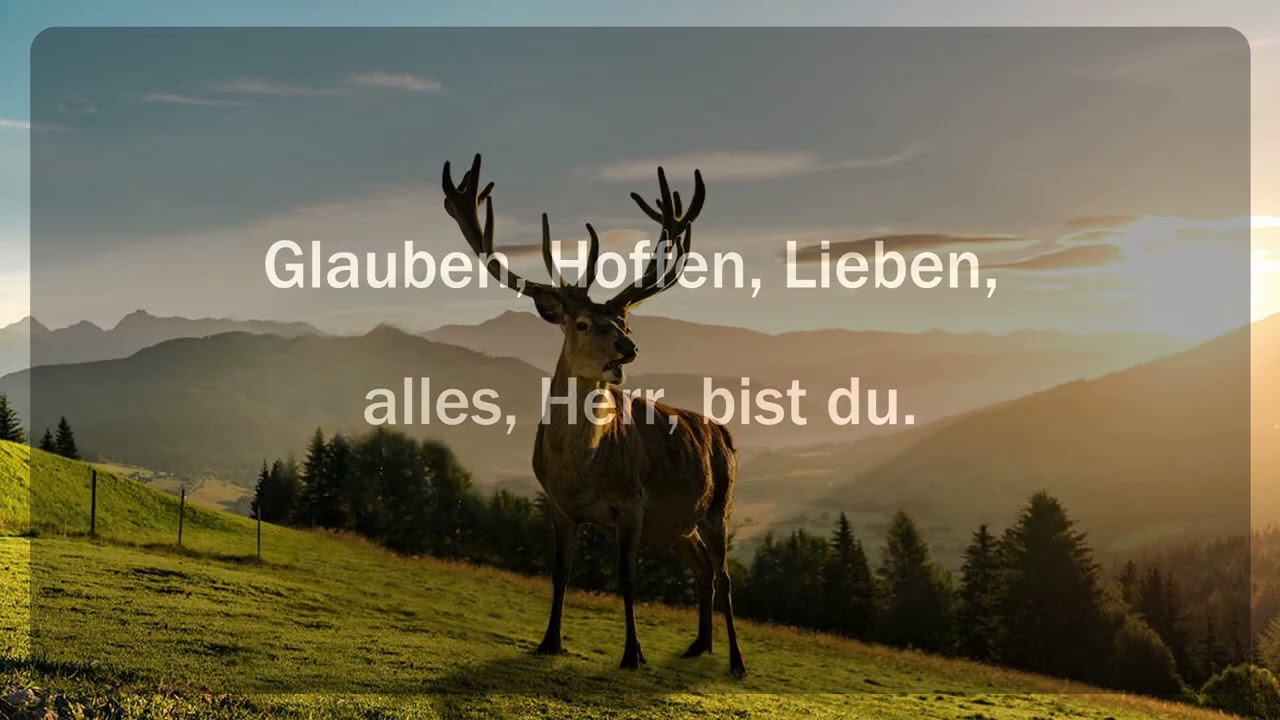 Stern auf den ich schaue (mit Text)