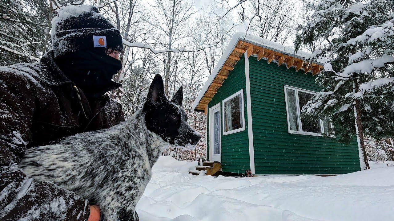 Winter cabin | Off Grid + Dog