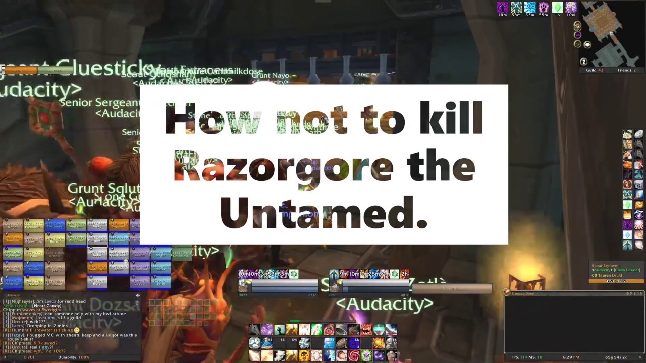 How not to kill Razorgore the Untamed in Blackwing Lair - Arugal Horde, Holy Priest point of view