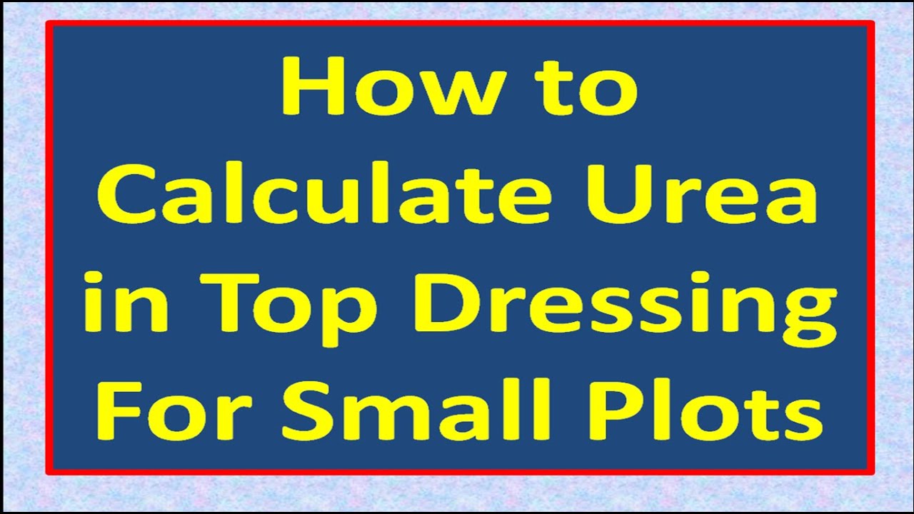 How to Calculate Urea in Top Dressing For Small Plots