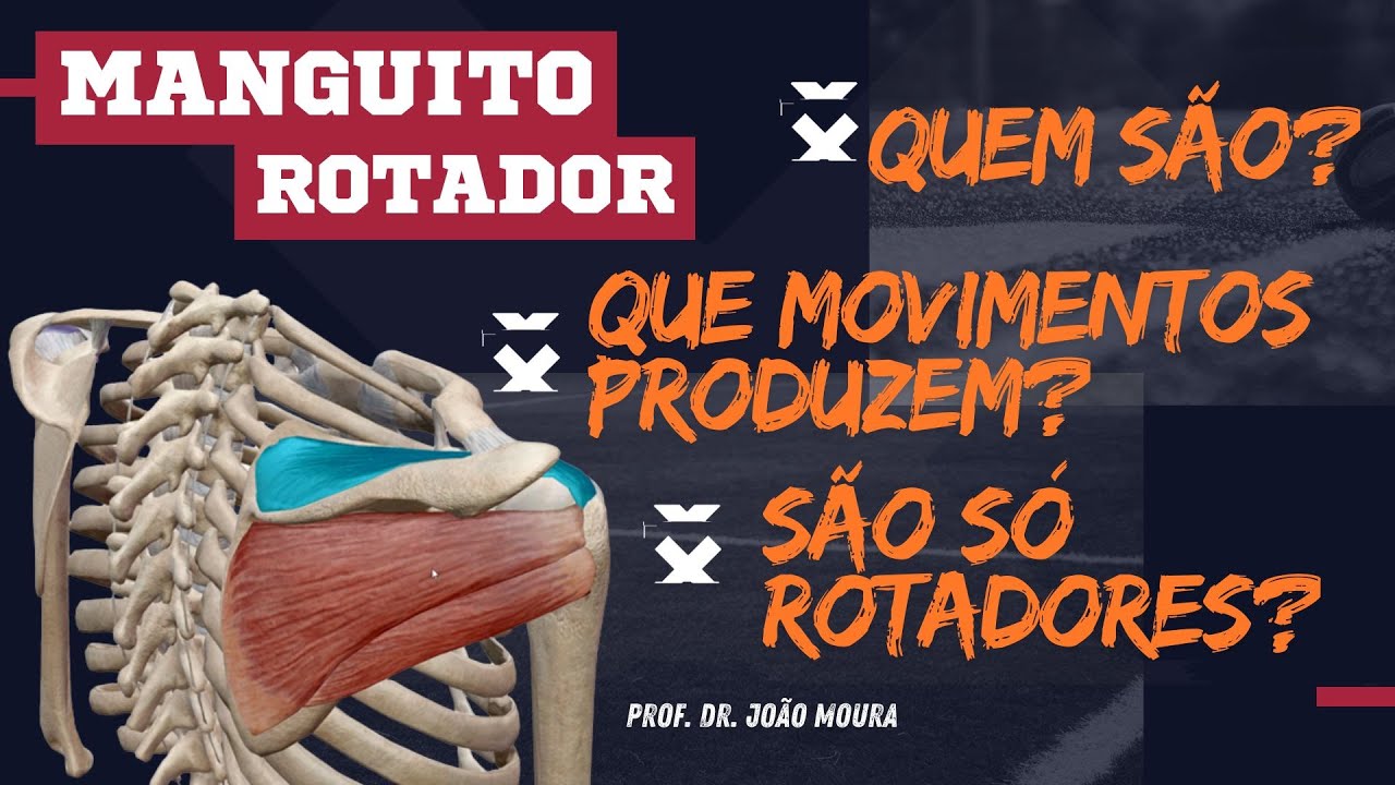 TODA A ANATOMIA DO MANGUITO ROTADOR E EM DETALHES