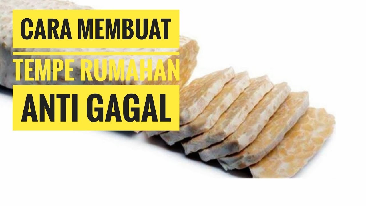 CARA MEMBUAT TEMPE SENDIRI ANTI GAGAL