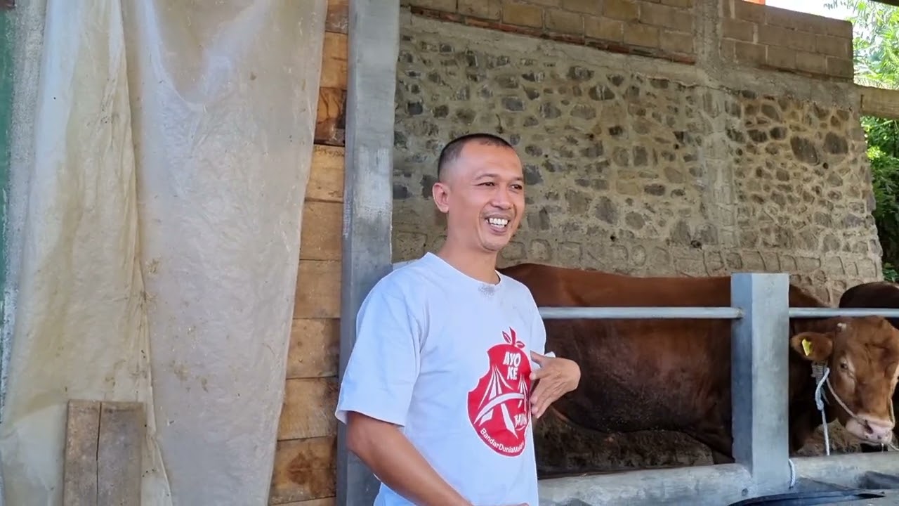 inspirasi tempat pembuatan SILO silase pakan ternak agar lebih efisien waktu dan tempat