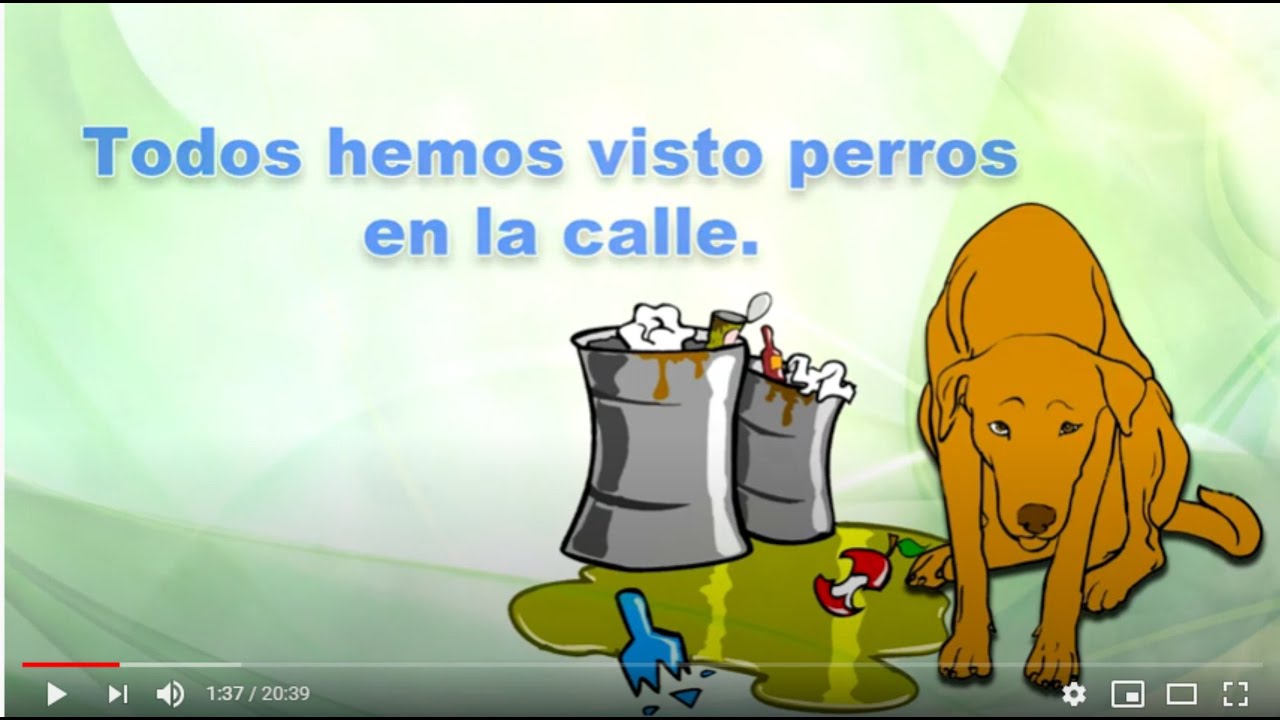 Juntos por una sociedad responsable 2020