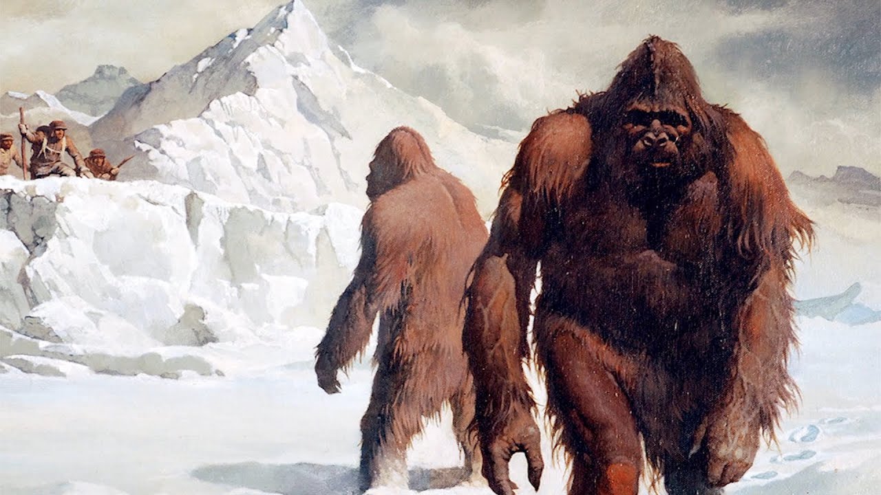 Yeti - Der Legend&auml;re Affe / Dokumentation