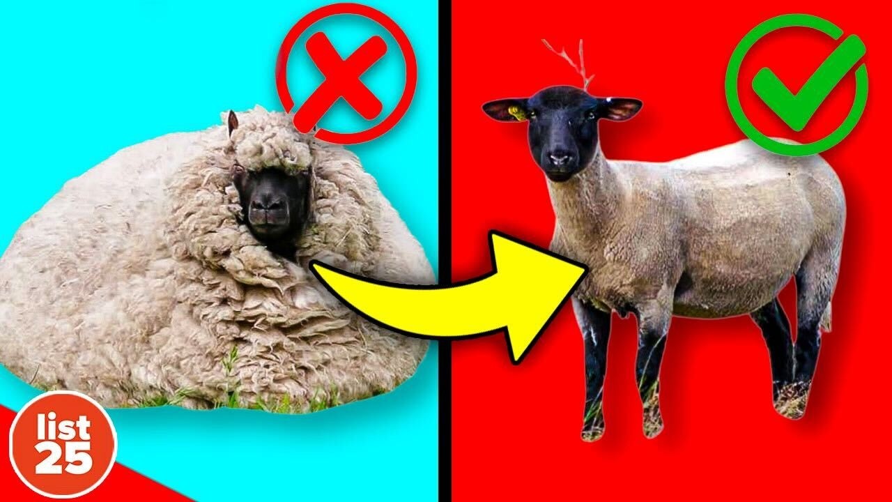 100 Facts That Will Leave You Speechless