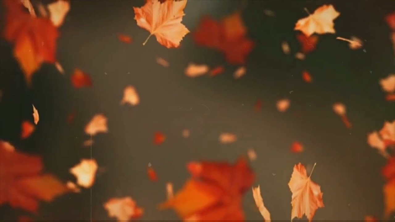 Free Video Background | Video Clips | Animation Video | Free Download | No Text | No Copyright