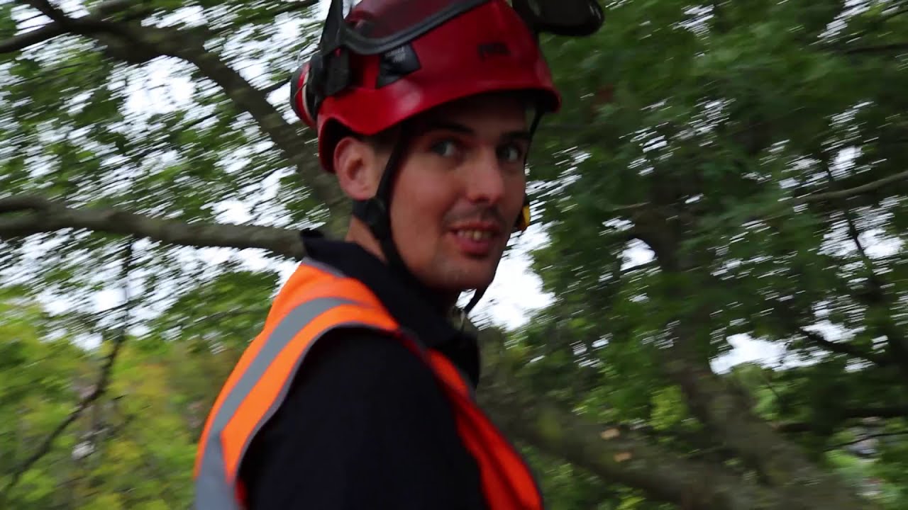 Werkleerlijn medewerker Groen