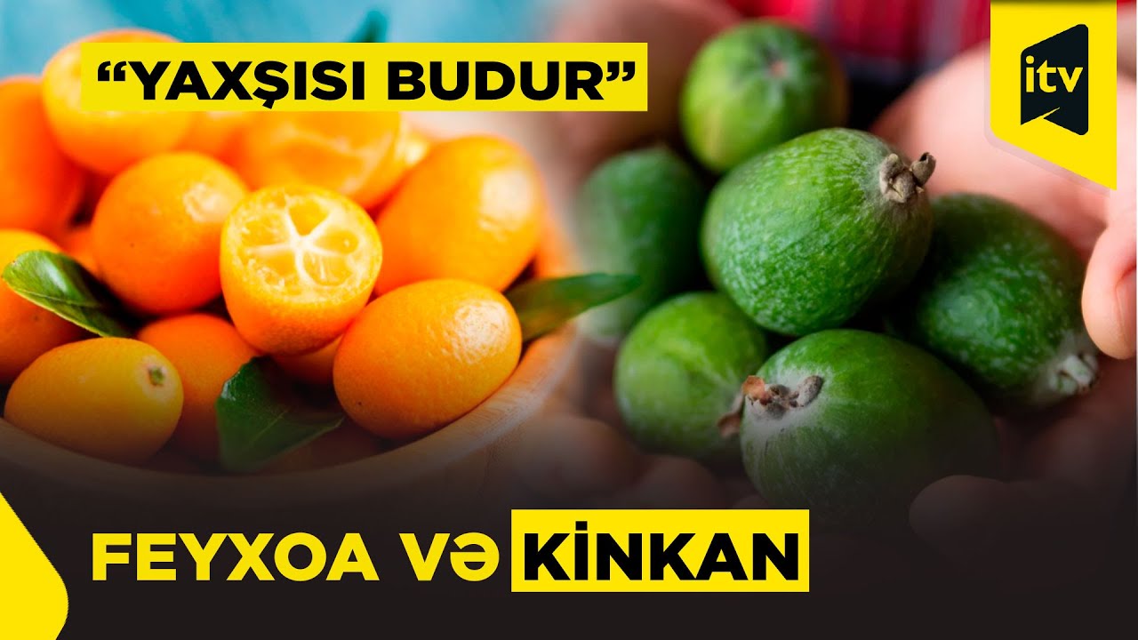Feyxoa və kinkanın orqanizmə faydaları | “Yaxşısı budur”, 25.01.2026