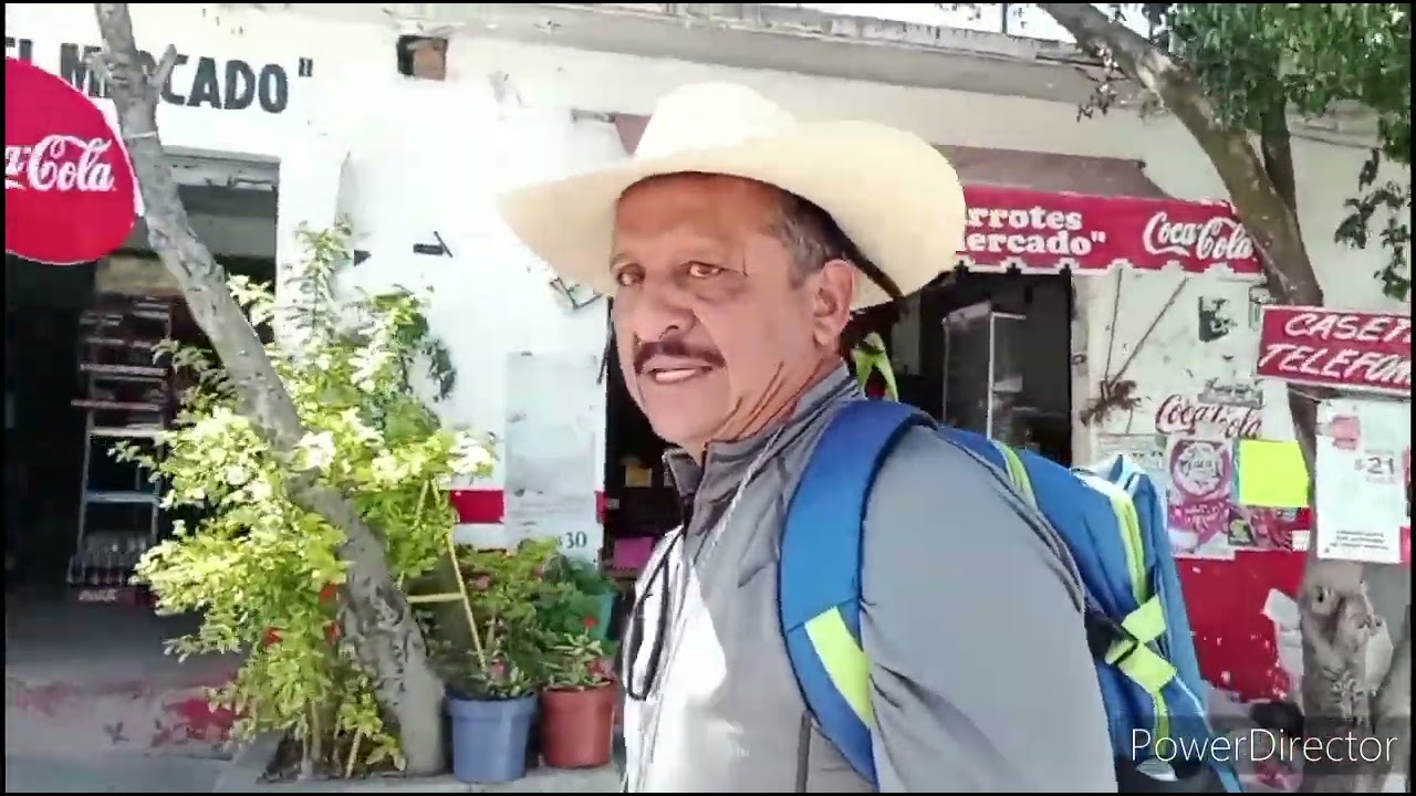 Palmillas Guerrero, llenó mi ojo, y me enamoré a primera vista 🥰😍