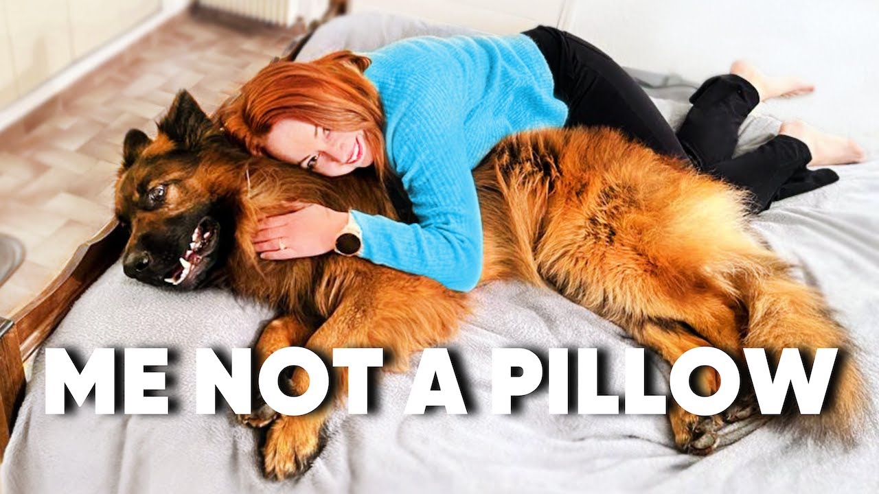 Hugging My Dog For Too Long