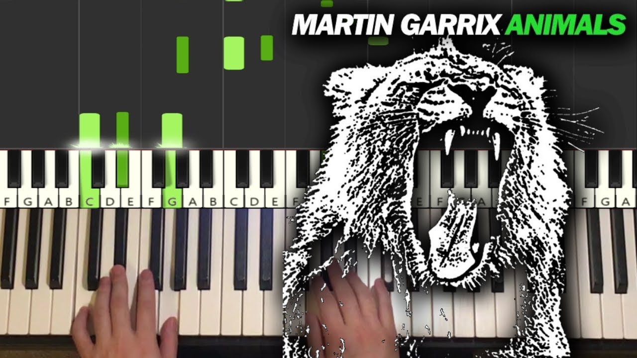 Martin Garrix - Animals (Piano Tutorial Lesson)