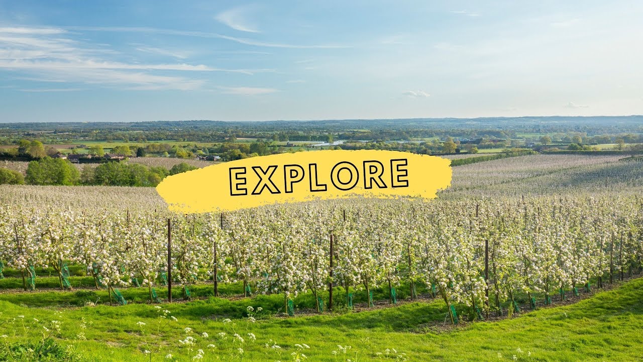 Exploring Maidstone