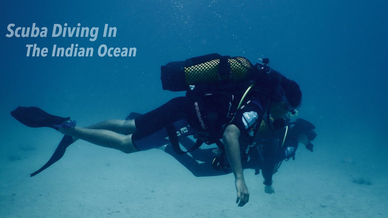 A Day In My Life As A Scuba Diver