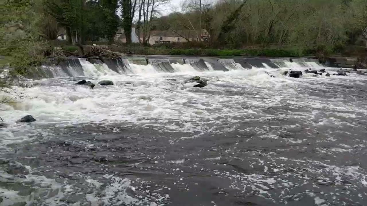 Sprotbrough Weir Fish Pass River Don