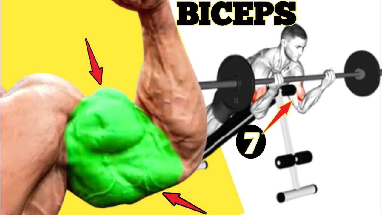7 Best Bicep Exercises | बाइसेप वर्कआउट कैसे करें 