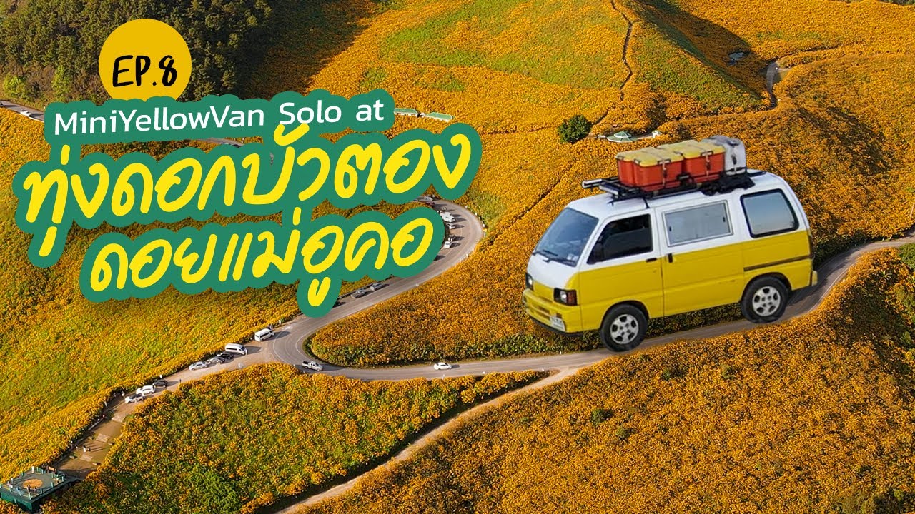[MiniYellowVan Solo] ทุ่งดอกบัวตอง ดอยแม่อูคอ - กินนอนในรถ Ep.8