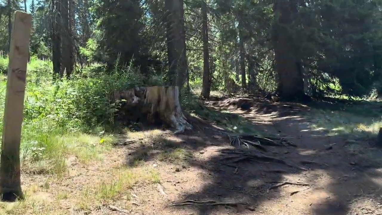 Stunning Nature Walk in Kopaonik, Serbia | Summer Serenity & Winter Skiing