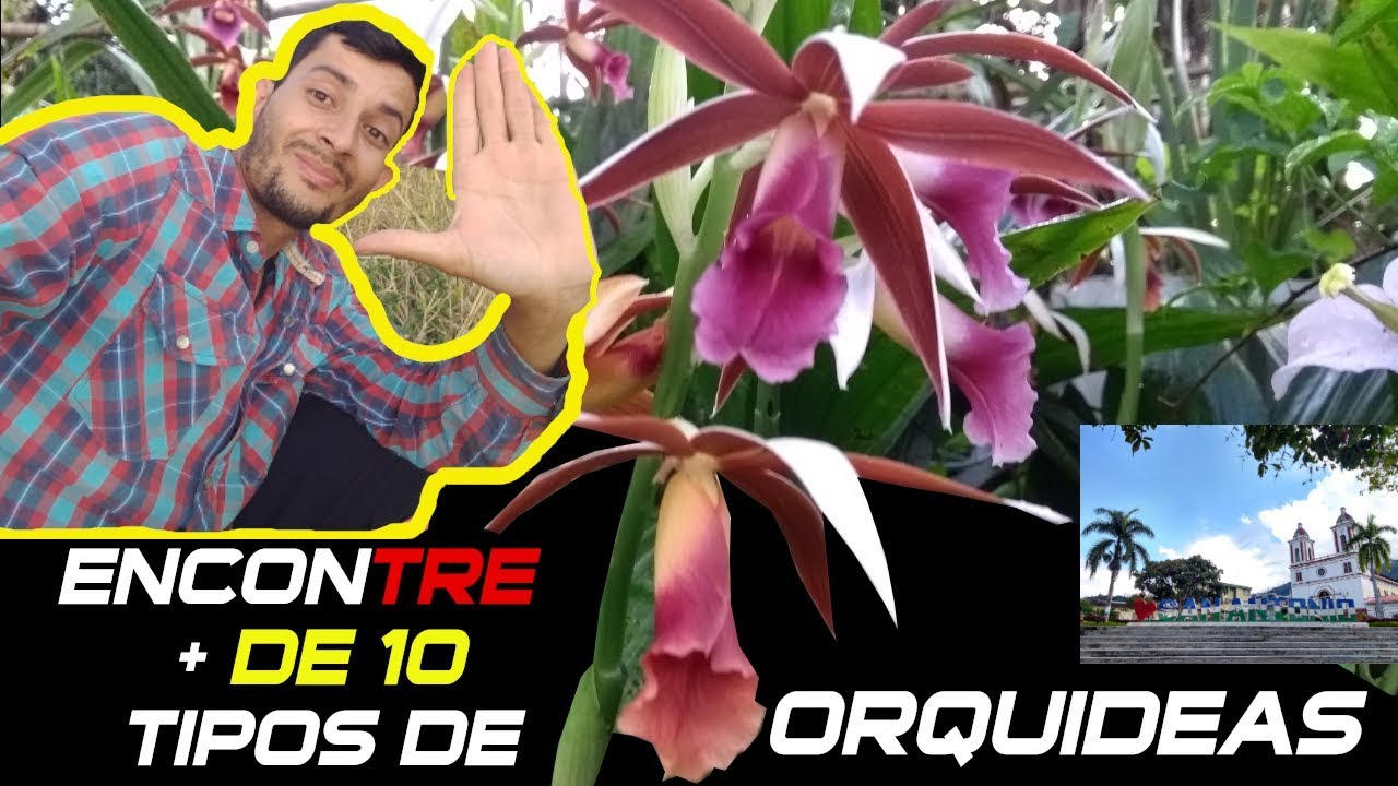 SAN ANTONIO TOLIMA |  PAISAJES Y LUGARES TURISTICOS