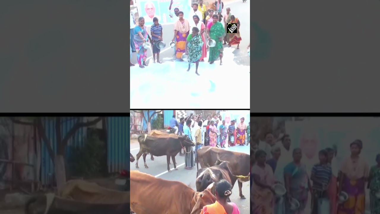 TN: Dairy farmers stage protest in Madurai, pour milk on road