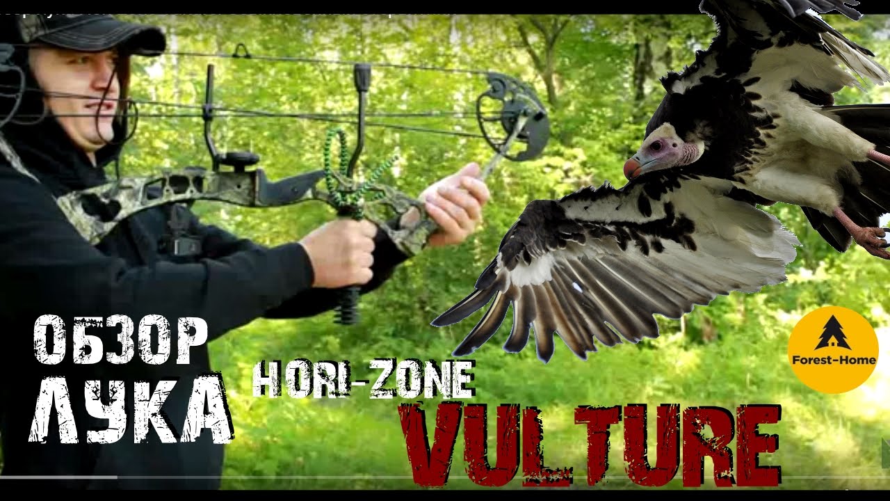 Обзор лука Hori-Zone Vulture. Обыкновенный стервятник