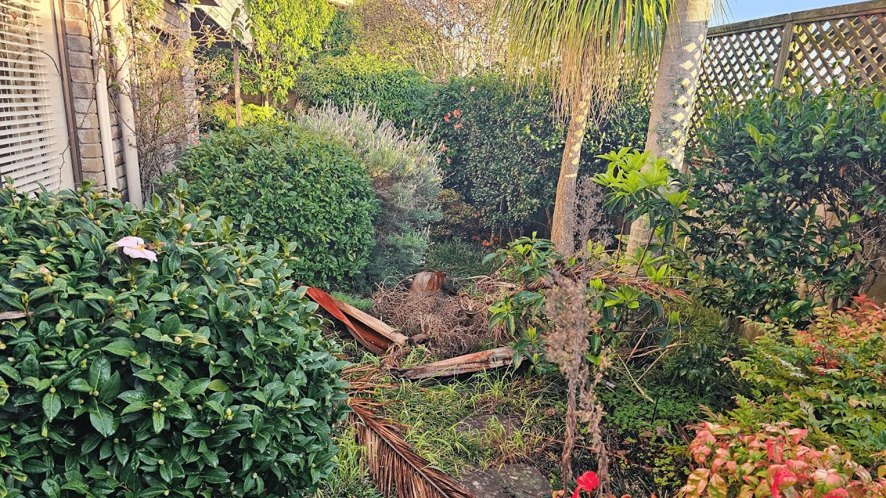 DAUGHTER SHOCKED By the Transformation of This OVERGROWN Garden