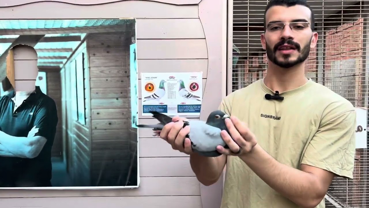 الزوج الذهبي للنقاط المشتركة 